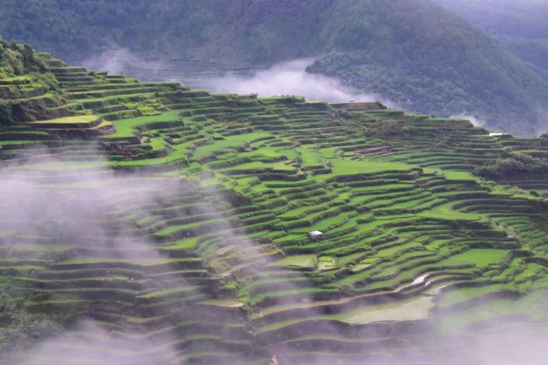 Vilma'S Homestay Bontoc  Esterno foto